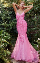 Load image into Gallery viewer, Prom collection